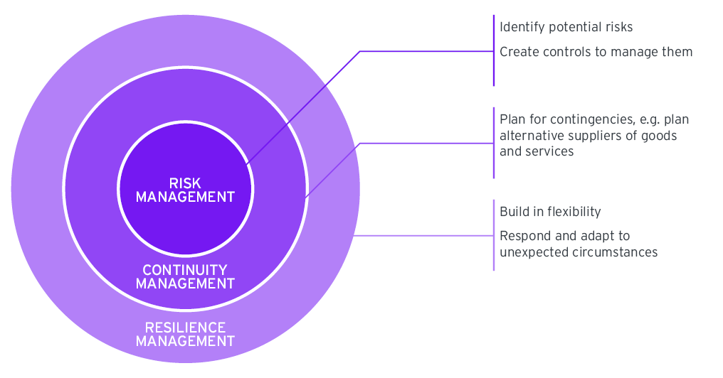 Difference Resilience, Continuity and Risk Management